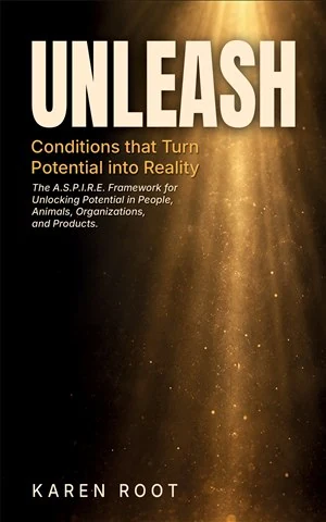 Unleash book cover